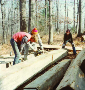 Willie Inspecting a Log