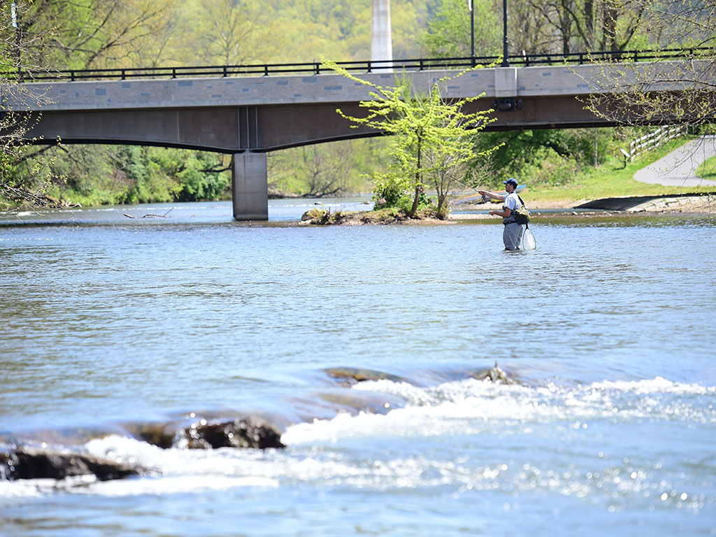 Fishing in Waynesboro's South River